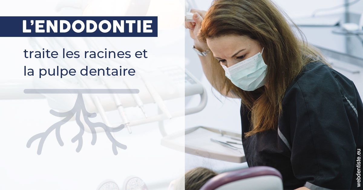 https://scp-jacques-et-elisabeth-topin.chirurgiens-dentistes.fr/L'endodontie 1