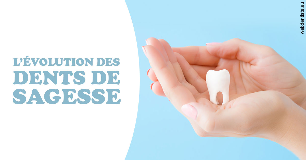https://scp-jacques-et-elisabeth-topin.chirurgiens-dentistes.fr/Evolution dents de sagesse 1
