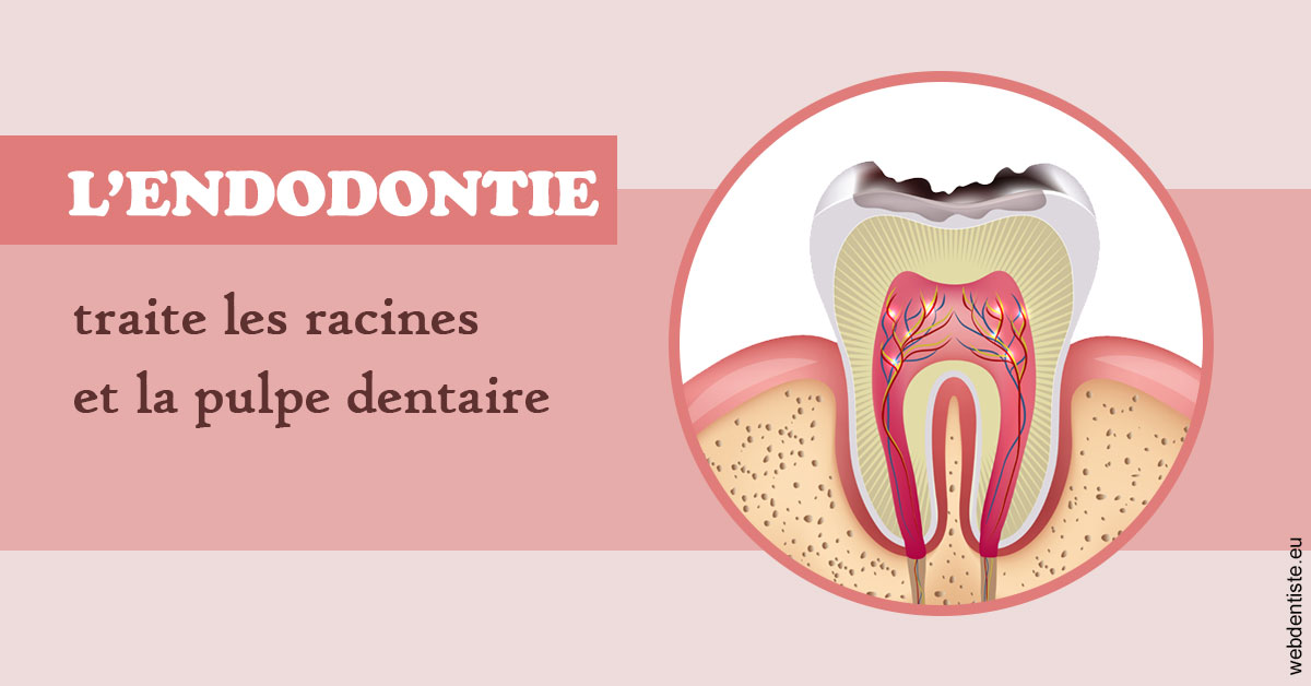 https://scp-jacques-et-elisabeth-topin.chirurgiens-dentistes.fr/L'endodontie 2